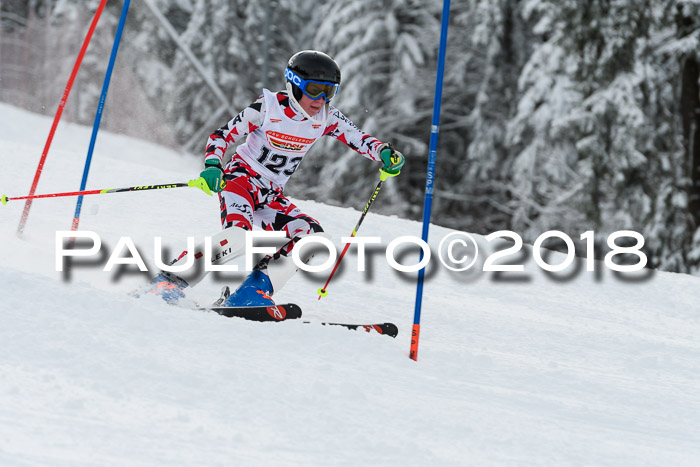 DSV Dt. Schülercup U14 SL 20.01.2018