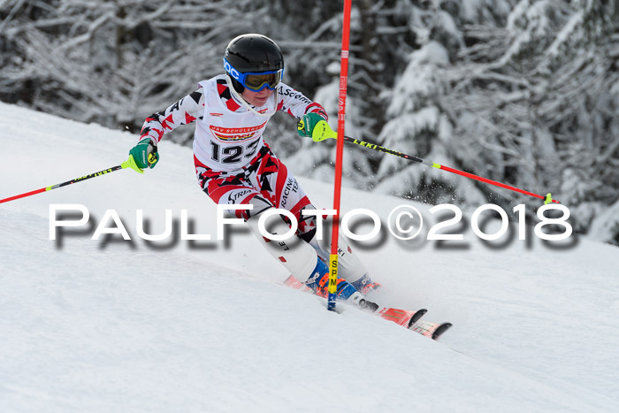 DSV Dt. Schülercup U14 SL 20.01.2018