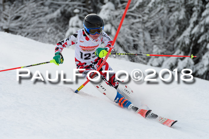 DSV Dt. Schülercup U14 SL 20.01.2018