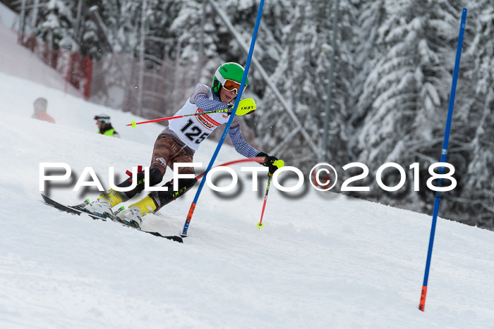 DSV Dt. Schülercup U14 SL 20.01.2018