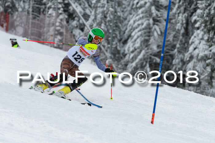 DSV Dt. Schülercup U14 SL 20.01.2018