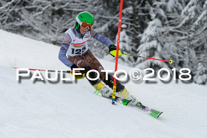 DSV Dt. Schülercup U14 SL 20.01.2018
