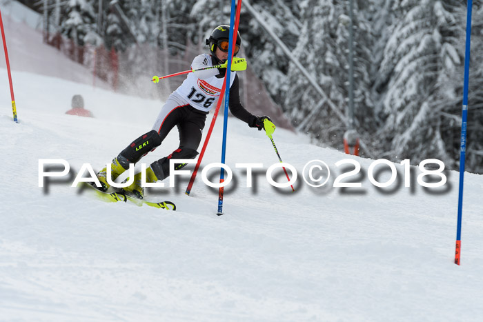 DSV Dt. Schülercup U14 SL 20.01.2018