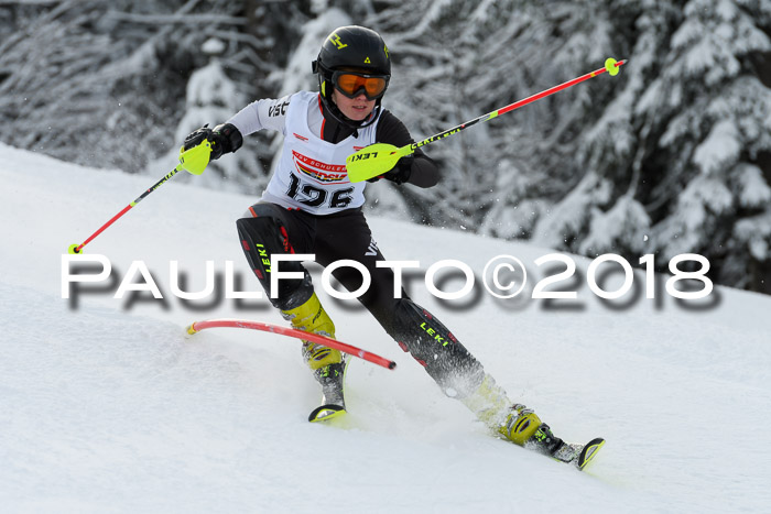 DSV Dt. Schülercup U14 SL 20.01.2018