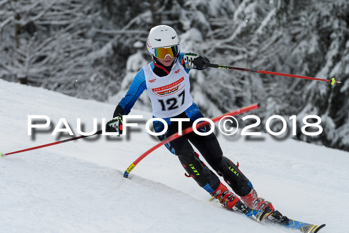 DSV Dt. Schülercup U14 SL 20.01.2018