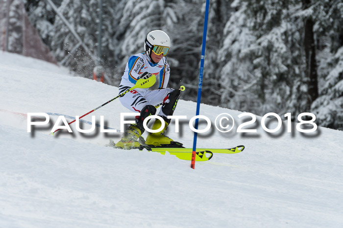 DSV Dt. Schülercup U14 SL 20.01.2018