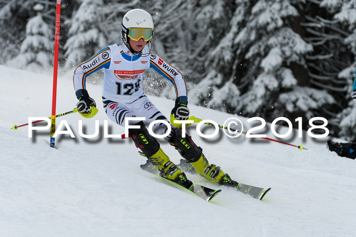 DSV Dt. Schülercup U14 SL 20.01.2018