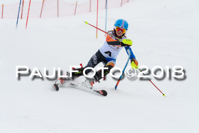 DSV Dt. Schülercup U14 SL 20.01.2018
