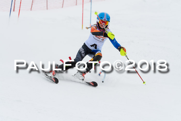 DSV Dt. Schülercup U14 SL 20.01.2018