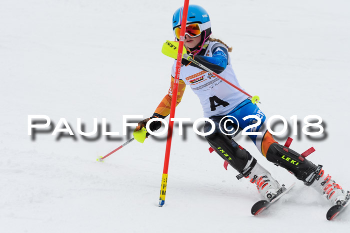 DSV Dt. Schülercup U14 SL 20.01.2018
