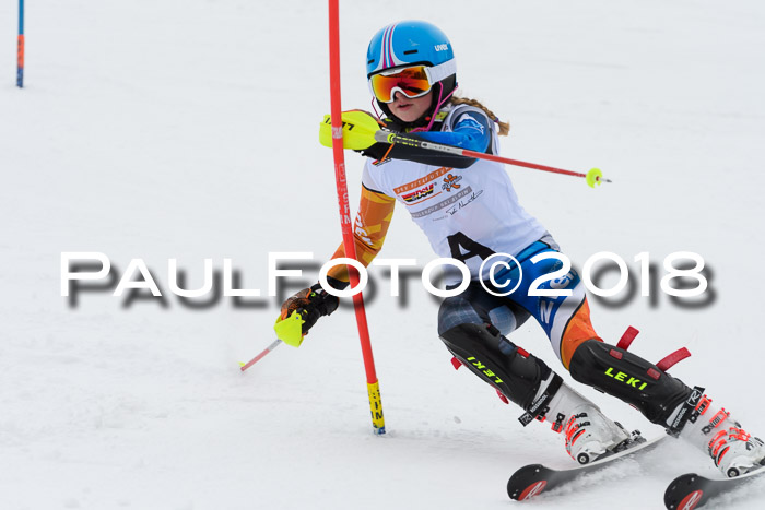 DSV Dt. Schülercup U14 SL 20.01.2018