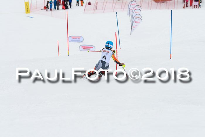 DSV Dt. Schülercup U14 SL 20.01.2018