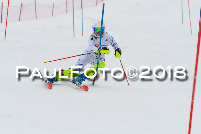 DSV Dt. Schülercup U14 SL 20.01.2018