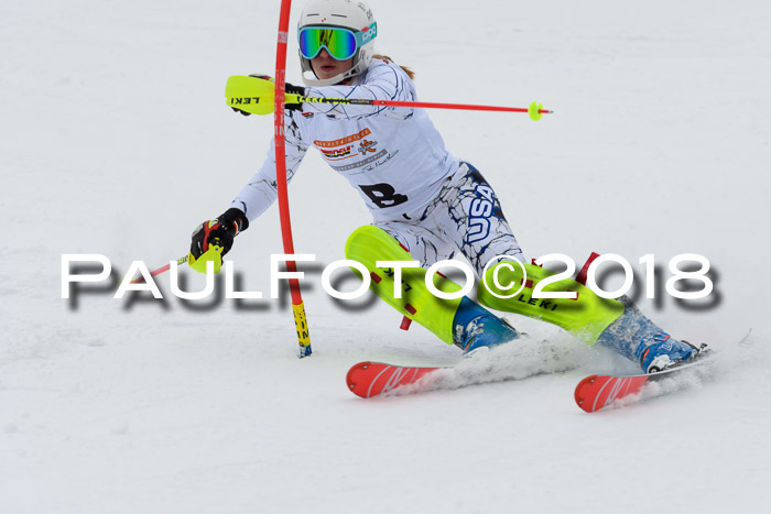 DSV Dt. Schülercup U14 SL 20.01.2018