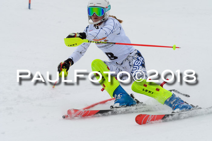 DSV Dt. Schülercup U14 SL 20.01.2018