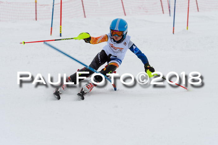 DSV Dt. Schülercup U14 SL 20.01.2018
