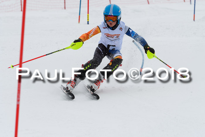 DSV Dt. Schülercup U14 SL 20.01.2018