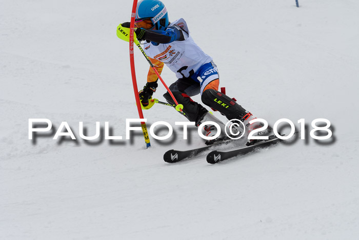 DSV Dt. Schülercup U14 SL 20.01.2018