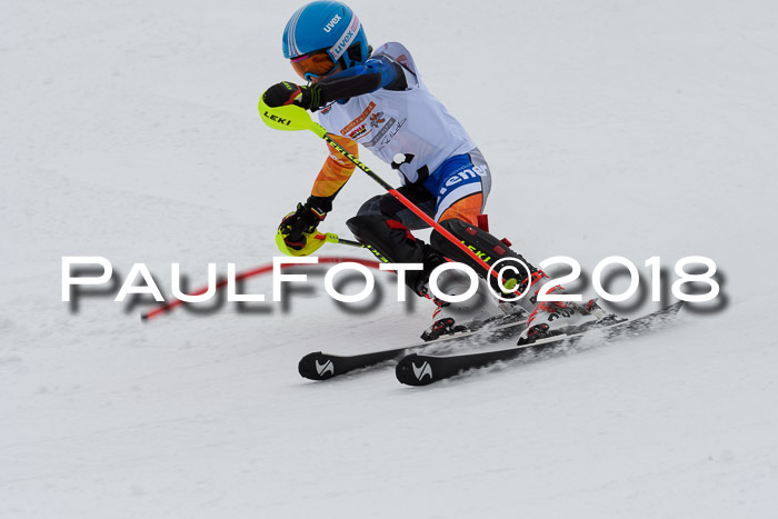 DSV Dt. Schülercup U14 SL 20.01.2018