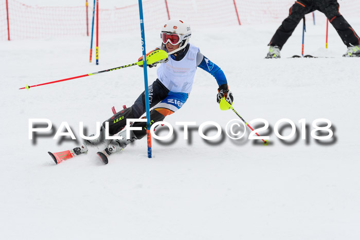 DSV Dt. Schülercup U14 SL 20.01.2018