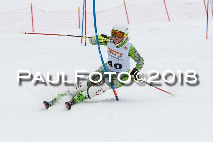 DSV Dt. Schülercup U14 SL 20.01.2018