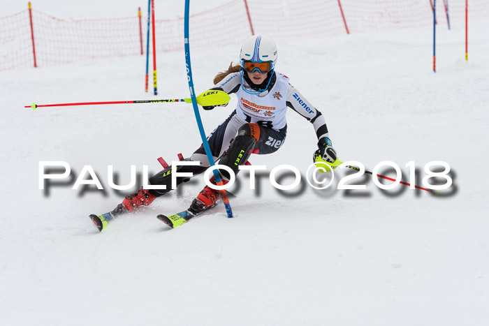DSV Dt. Schülercup U14 SL 20.01.2018