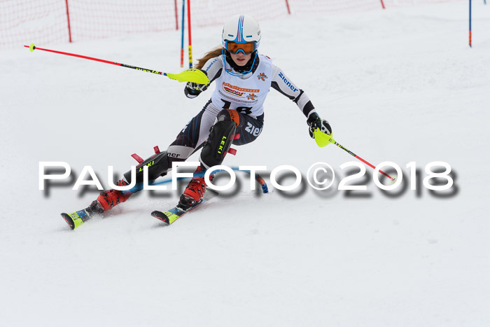 DSV Dt. Schülercup U14 SL 20.01.2018
