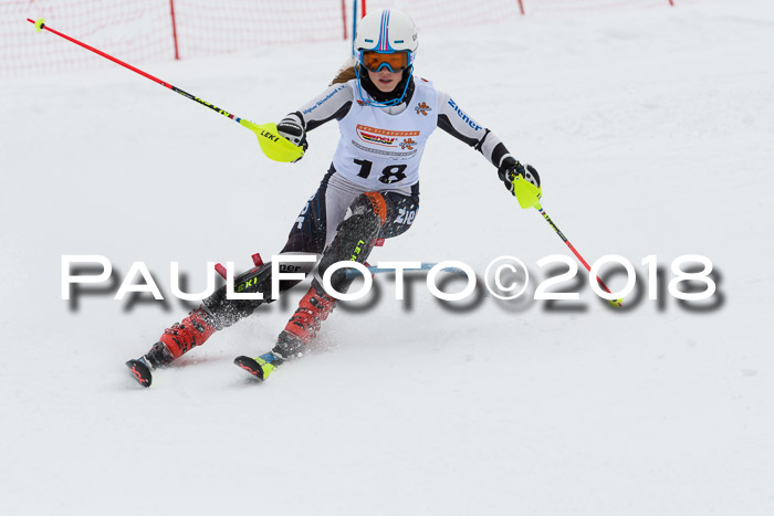 DSV Dt. Schülercup U14 SL 20.01.2018