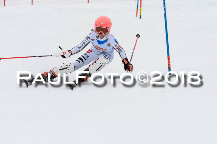 DSV Dt. Schülercup U14 SL 20.01.2018
