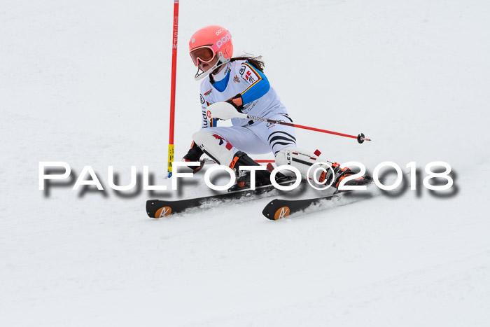 DSV Dt. Schülercup U14 SL 20.01.2018