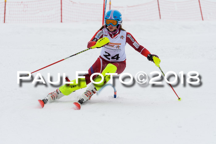 DSV Dt. Schülercup U14 SL 20.01.2018
