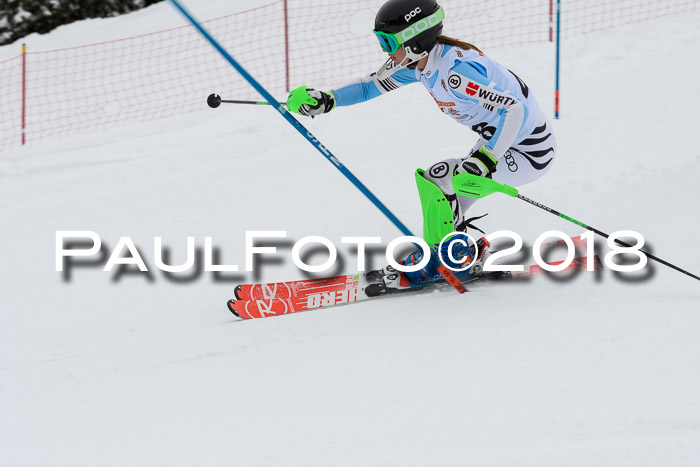 DSV Dt. Schülercup U14 SL 20.01.2018