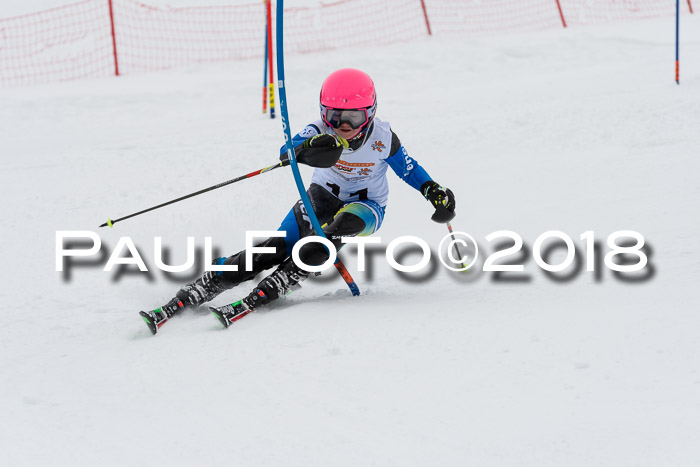 DSV Dt. Schülercup U14 SL 20.01.2018