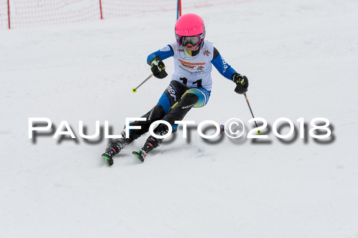 DSV Dt. Schülercup U14 SL 20.01.2018