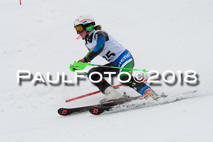 DSV Dt. Schülercup U14 SL 20.01.2018