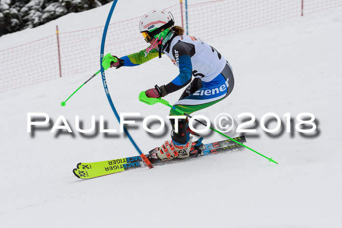 DSV Dt. Schülercup U14 SL 20.01.2018