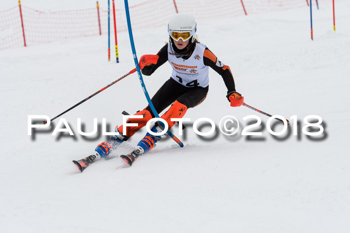 DSV Dt. Schülercup U14 SL 20.01.2018