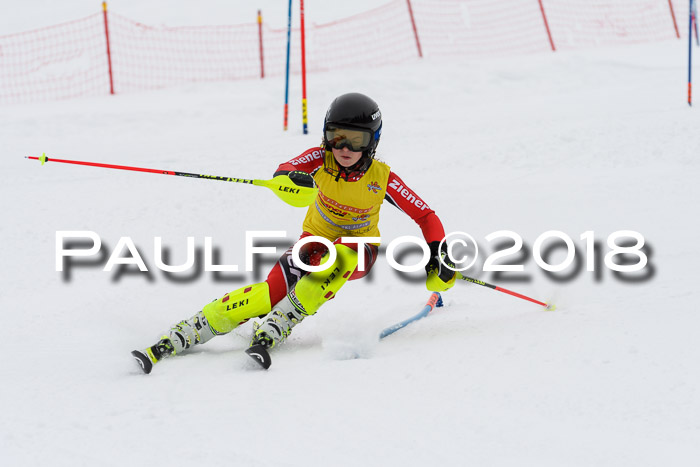 DSV Dt. Schülercup U14 SL 20.01.2018