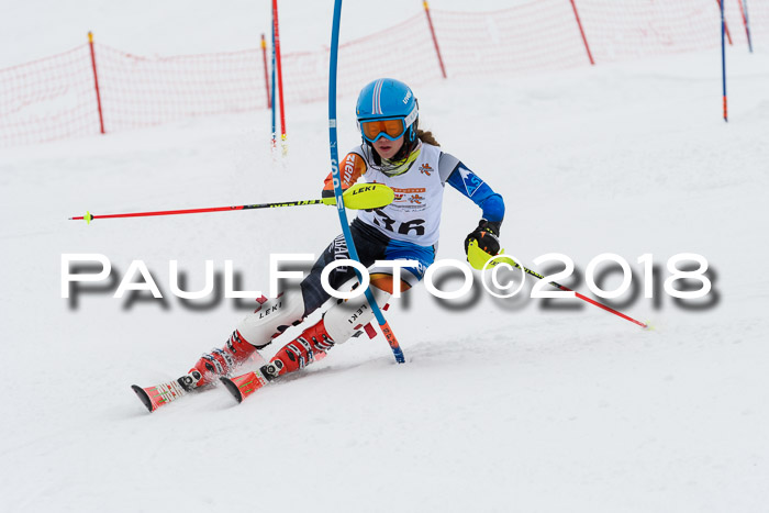 DSV Dt. Schülercup U14 SL 20.01.2018