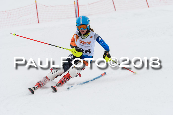 DSV Dt. Schülercup U14 SL 20.01.2018