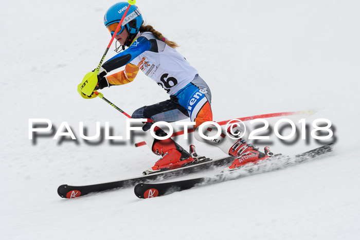 DSV Dt. Schülercup U14 SL 20.01.2018