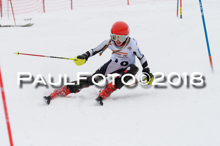 DSV Dt. Schülercup U14 SL 20.01.2018