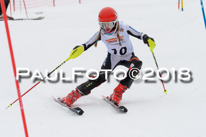 DSV Dt. Schülercup U14 SL 20.01.2018