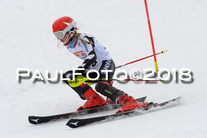 DSV Dt. Schülercup U14 SL 20.01.2018