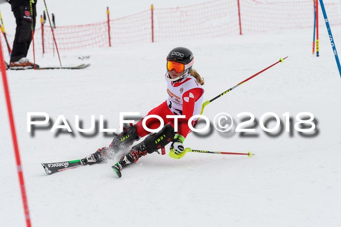 DSV Dt. Schülercup U14 SL 20.01.2018