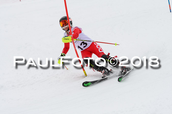 DSV Dt. Schülercup U14 SL 20.01.2018