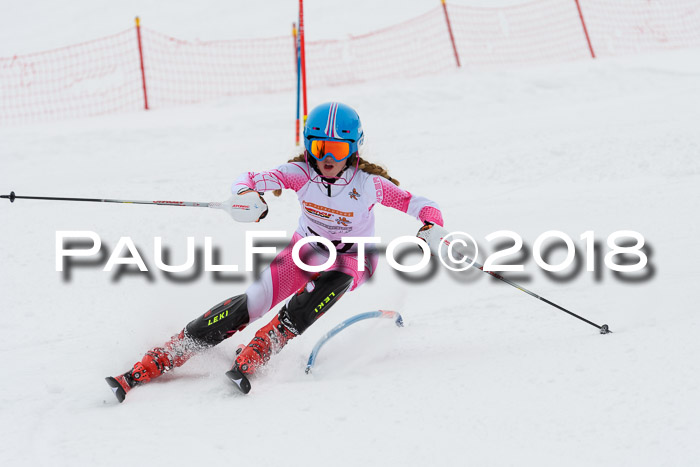 DSV Dt. Schülercup U14 SL 20.01.2018