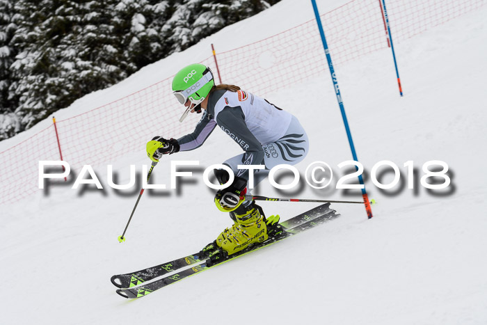 DSV Dt. Schülercup U14 SL 20.01.2018