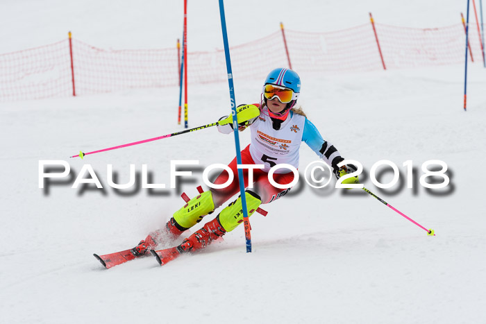 DSV Dt. Schülercup U14 SL 20.01.2018