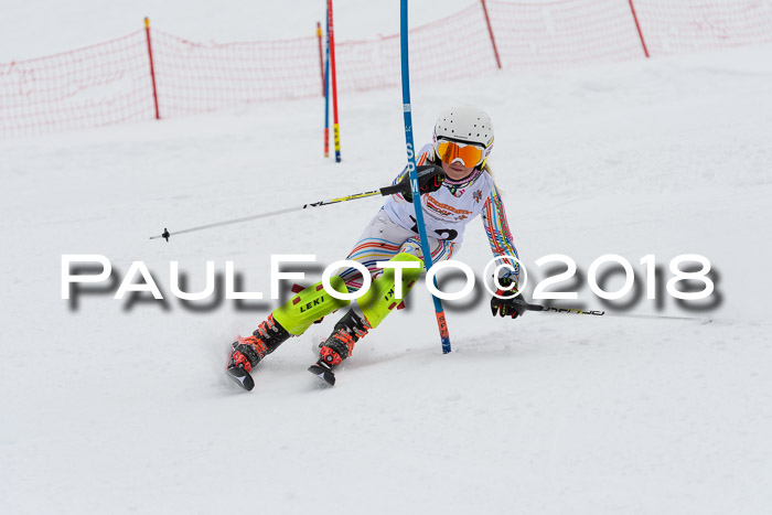 DSV Dt. Schülercup U14 SL 20.01.2018